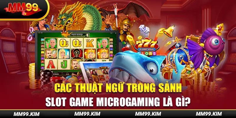 Các thuật ngữ trong sảnh slot game microgaming là gì? Các thuật ngữ trong sảnh slot game microgaming là gì?